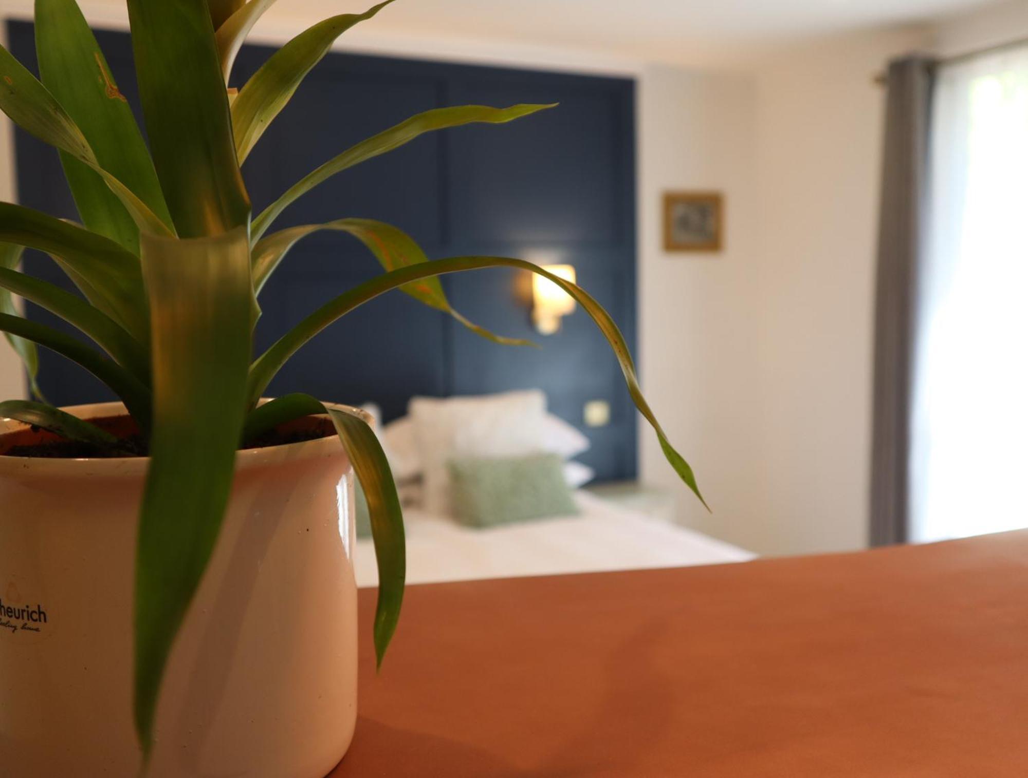 Villa The Garden Retreat Cill Airne Esterno foto